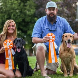 hrretrievers.com-gundog-trainer-1000 hrretrievers.com-gundog-trainer-1000