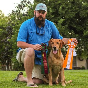 hrretrievers.com-gundog-trainer-1034 hrretrievers.com-gundog-trainer-1034