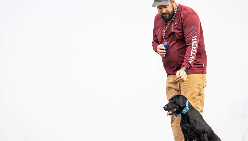 hrretrievers.com-gundog-trainer-1067