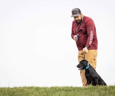 hrretrievers.com-gundog-trainer-1067